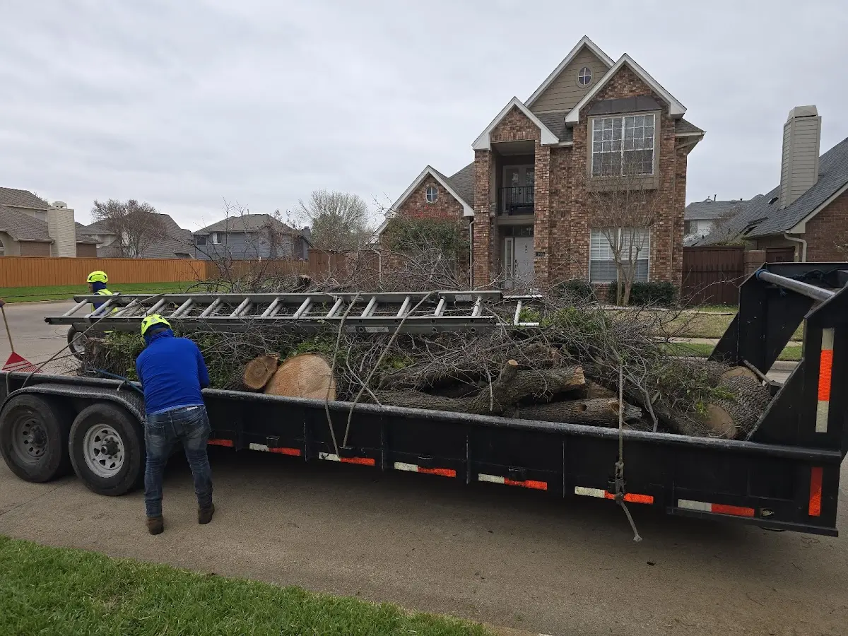 Expert Tree Removal with proper safety equipment in Frankfort
